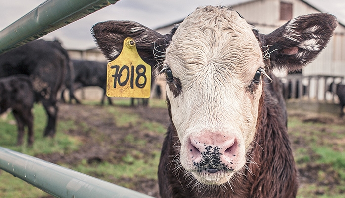 Environnement : ce qui a changé au 1er janvier