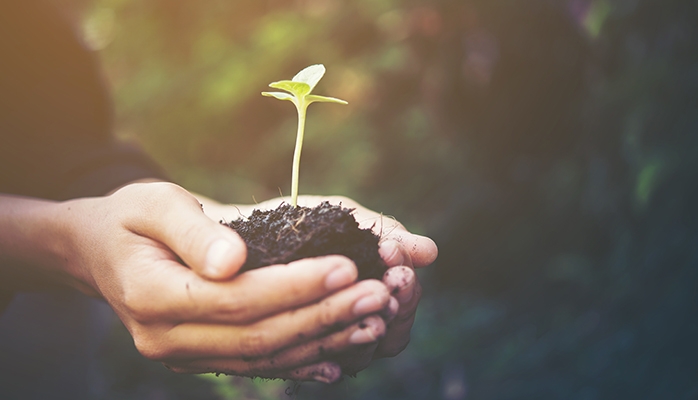 Une première étude sur les atteintes à l’environnement