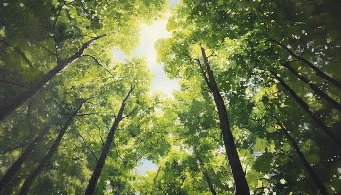 Environnement : la Commission européenne propose un nouveau report d'un an de la loi anti-déforestation